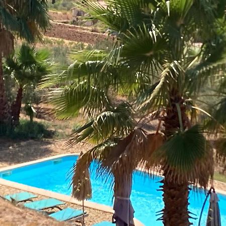 La Venturonne Appartement Neuf Rez De Jardin 45 M2 Vue Mer Et Vignes 10 Mn Des Plages Le Beausset Kültér fotó