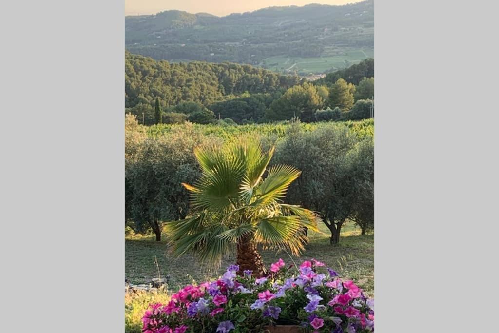 La Venturonne Appartement Neuf Rez De Jardin 45 M2 Vue Mer Et Vignes 10 Mn Des Plages Le Beausset Kültér fotó