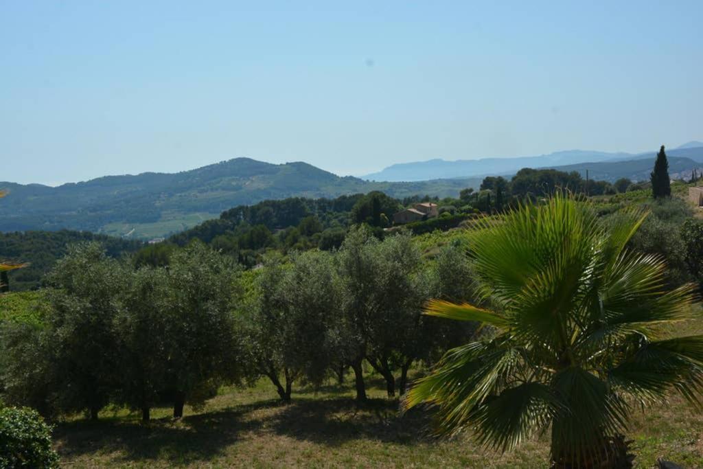 La Venturonne Appartement Neuf Rez De Jardin 45 M2 Vue Mer Et Vignes 10 Mn Des Plages Le Beausset Kültér fotó