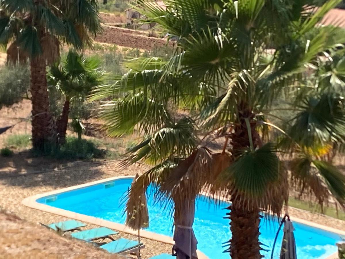 La Venturonne Appartement Neuf Rez De Jardin 45 M2 Vue Mer Et Vignes 10 Mn Des Plages Le Beausset Kültér fotó